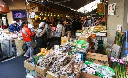 שייט יפן שוק דגים טוקיו